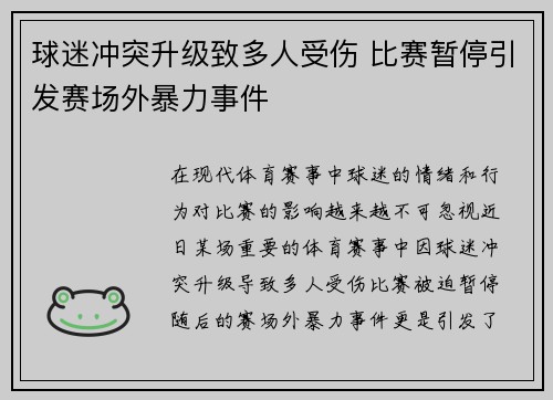 球迷冲突升级致多人受伤 比赛暂停引发赛场外暴力事件