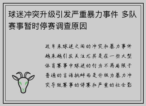 球迷冲突升级引发严重暴力事件 多队赛事暂时停赛调查原因