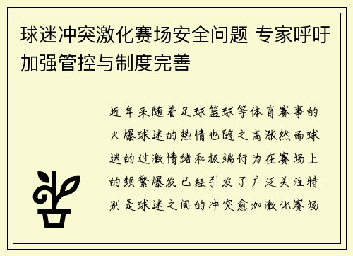 球迷冲突激化赛场安全问题 专家呼吁加强管控与制度完善