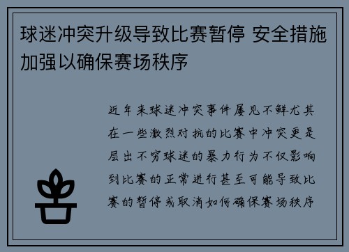 球迷冲突升级导致比赛暂停 安全措施加强以确保赛场秩序